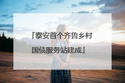 泰安首个齐鲁乡村国债服务站建成