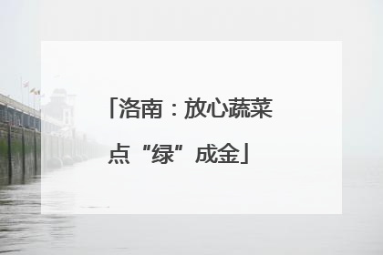 洛南：放心蔬菜点“绿”成金