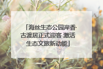 海丝生态公园岸香·古渡居正式迎客 激活生态文旅新动能