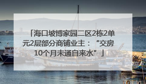海口坡博家园二区2栋2单元2层部分商铺业主：“交房10个月未通自来水”