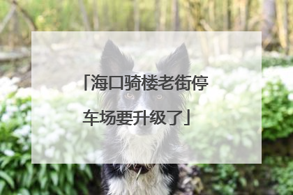 海口骑楼老街停车场要升级了