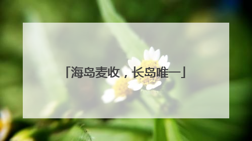 海岛麦收，长岛唯一