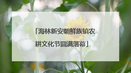 海林新安朝鲜族镇农耕文化节圆满落幕