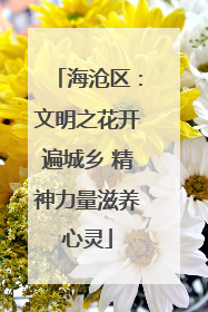 海沧区：文明之花开遍城乡 精神力量滋养心灵