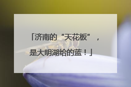 济南的“天花板”，是大明湖给的蓝！