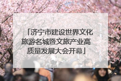 济宁市建设世界文化旅游名城暨文旅产业高质量发展大会开幕