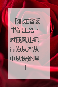 浙江省委书记王浩：对顶风违纪行为从严从重从快处理
