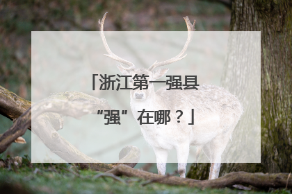 浙江第一强县“强”在哪？
