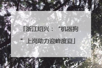 浙江绍兴：“机器狗”上岗助力迎峰度夏