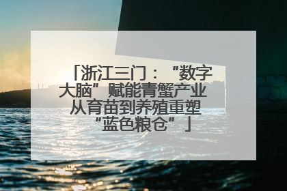 浙江三门：“数字大脑”赋能青蟹产业 从育苗到养殖重塑“蓝色粮仓”
