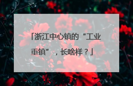 浙江中心镇的“工业重镇”，长啥样？
