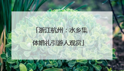 浙江杭州：水乡集体婚礼引游人观赏