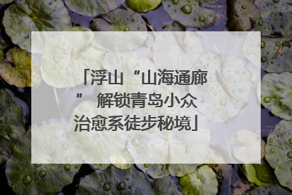 浮山“山海通廊” 解锁青岛小众治愈系徒步秘境