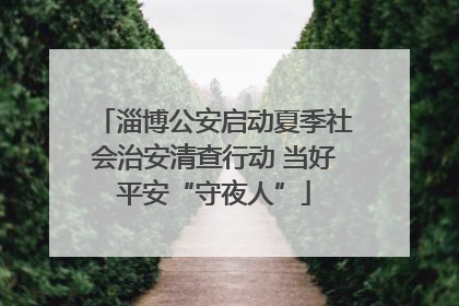 淄博公安启动夏季社会治安清查行动 当好平安“守夜人”
