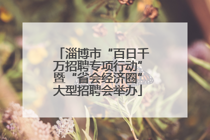 淄博市“百日千万招聘专项行动”暨“省会经济圈”大型招聘会举办