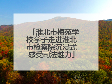 淮北市梅苑学校学子走进淮北市检察院沉浸式感受司法魅力