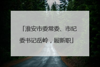 淮安市委常委、市纪委书记岳岭，履新职