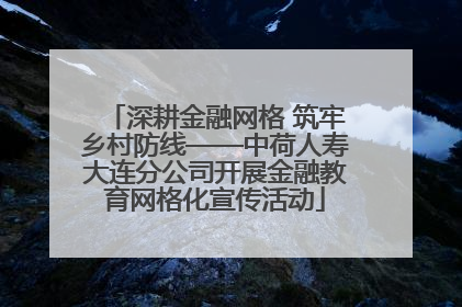 深耕金融网格 筑牢乡村防线——中荷人寿大连分公司开展金融教育网格化宣传活动