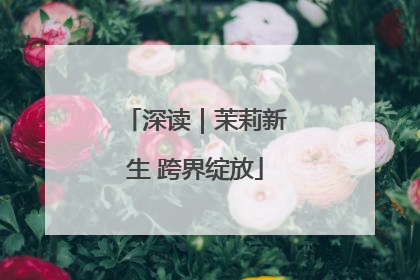 深读｜茉莉新生 跨界绽放