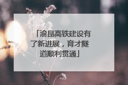 渝昆高铁建设有了新进展，育才隧道顺利贯通