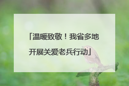温暖致敬！我省多地开展关爱老兵行动