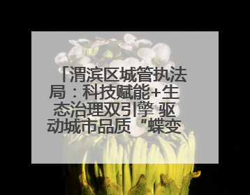 渭滨区城管执法局：科技赋能+生态治理双引擎 驱动城市品质“蝶变跃升”