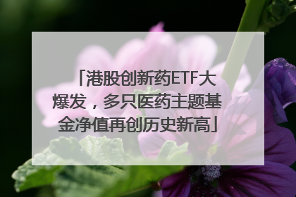 港股创新药ETF大爆发，多只医药主题基金净值再创历史新高