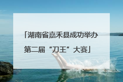 湖南省嘉禾县成功举办第二届“刀王”大赛