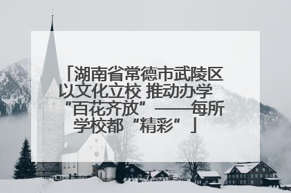 湖南省常德市武陵区以文化立校 推动办学“百花齐放”——每所学校都“精彩”