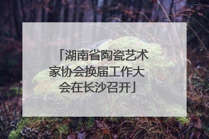 湖南省陶瓷艺术家协会换届工作大会在长沙召开