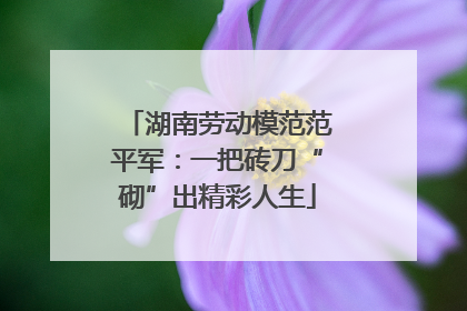 湖南劳动模范范平军：一把砖刀“砌”出精彩人生