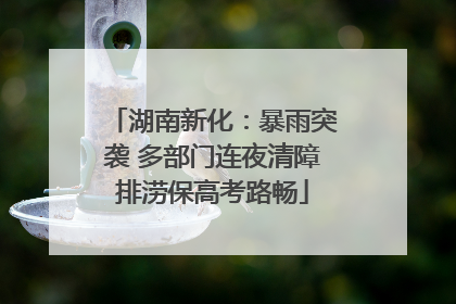 湖南新化：暴雨突袭 多部门连夜清障排涝保高考路畅