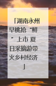 湖南永州早桃抢“鲜”上市 夏日采摘游带火乡村经济