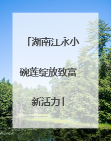 湖南江永小碗莲绽放致富新活力