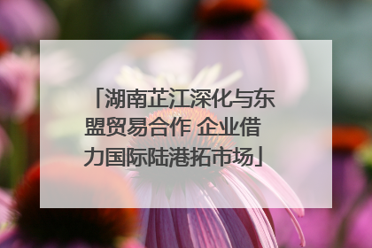 湖南芷江深化与东盟贸易合作 企业借力国际陆港拓市场