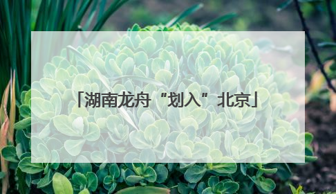湖南龙舟“划入”北京