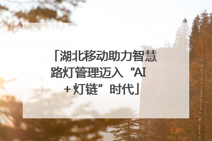 湖北移动助力智慧路灯管理迈入“AI＋灯链”时代