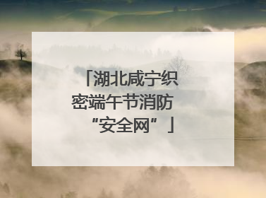 湖北咸宁织密端午节消防“安全网”