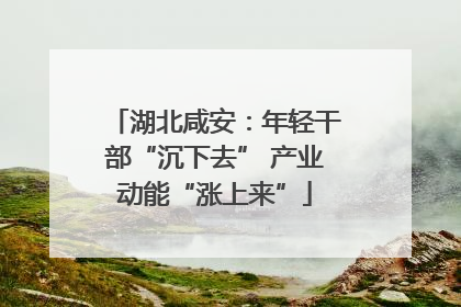湖北咸安：年轻干部“沉下去” 产业动能“涨上来”