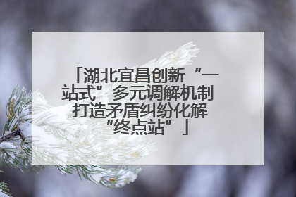湖北宜昌创新“一站式”多元调解机制 打造矛盾纠纷化解“终点站”