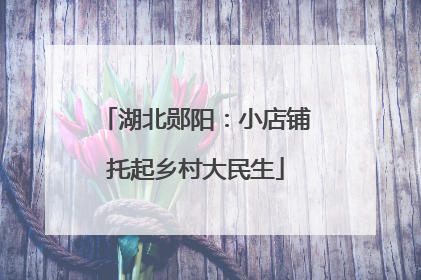 湖北郧阳：小店铺托起乡村大民生