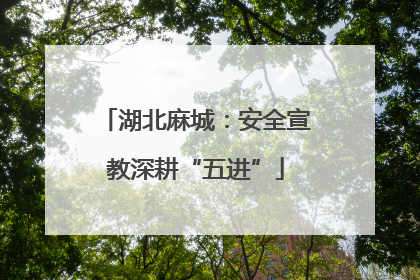 湖北麻城：安全宣教深耕“五进”