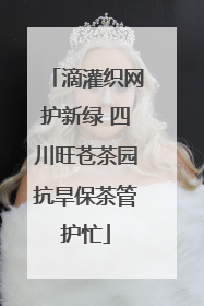 滴灌织网护新绿 四川旺苍茶园抗旱保茶管护忙