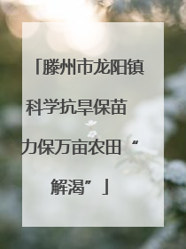 滕州市龙阳镇科学抗旱保苗 力保万亩农田“解渴”