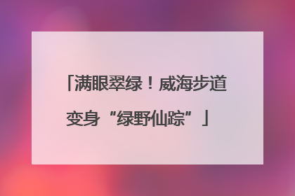 满眼翠绿！威海步道变身“绿野仙踪”
