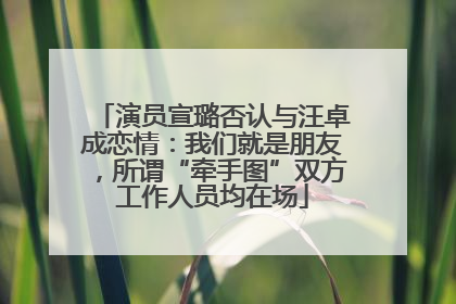演员宣璐否认与汪卓成恋情：我们就是朋友，所谓“牵手图”双方工作人员均在场