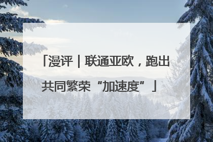 漫评｜联通亚欧，跑出共同繁荣“加速度”