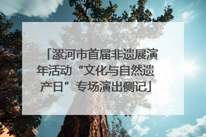 漯河市首届非遗展演年活动“文化与自然遗产日”专场演出侧记