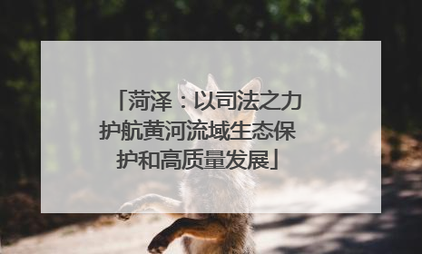 菏泽：以司法之力护航黄河流域生态保护和高质量发展