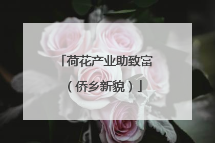 荷花产业助致富（侨乡新貌）